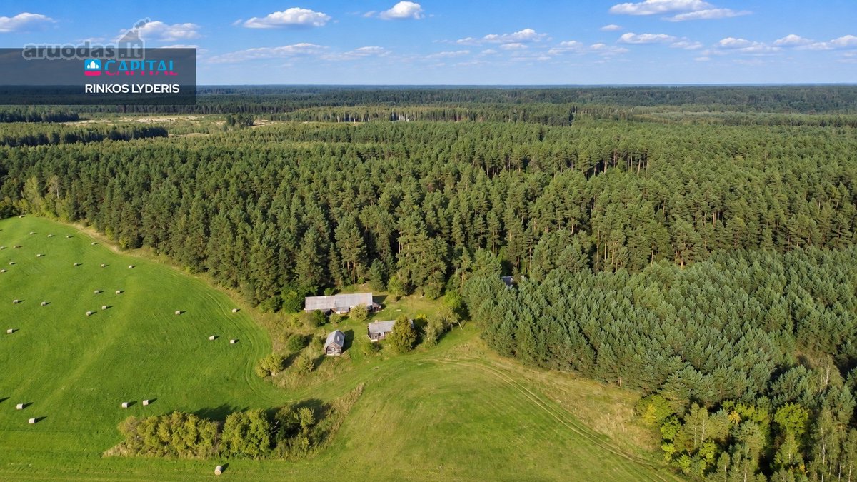 Parduodamas Išsskirtinis Sklypas Vienkiemyje - nuotraukos Nr. 3