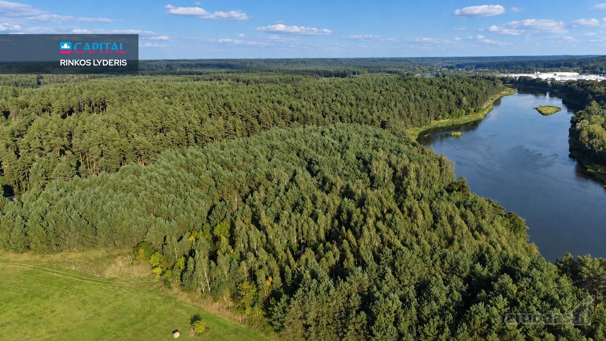 Parduodamas Išsskirtinis Sklypas Vienkiemyje - nuotraukos Nr. 4