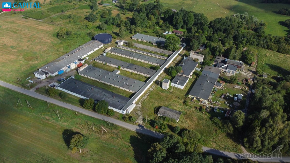 Išnuomojamas Patalpos Nuo 435 kv.m iki 7500 - nuotraukos Nr. 4