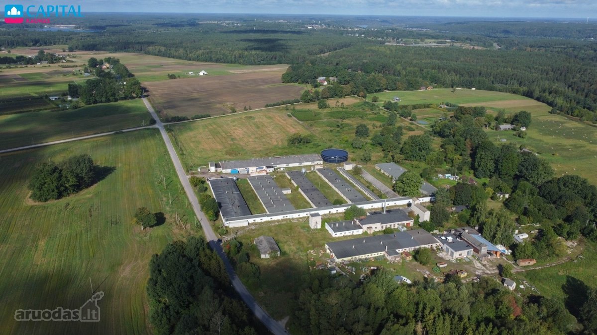 Išnuomojamas Patalpos Nuo 435 kv.m iki 7500 - nuotraukos Nr. 5