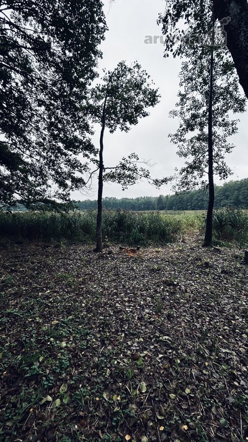 Parduodamas žemės ūkio paskirties sklypas - nuotraukos Nr. 6