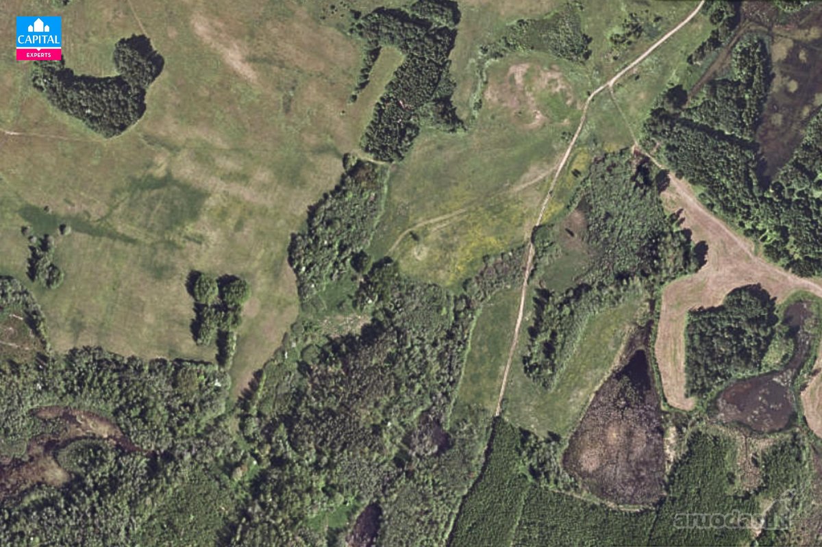 Parduodamas 8,28 Ha Žemės Ūkio Paskirties - nuotraukos Nr. 4