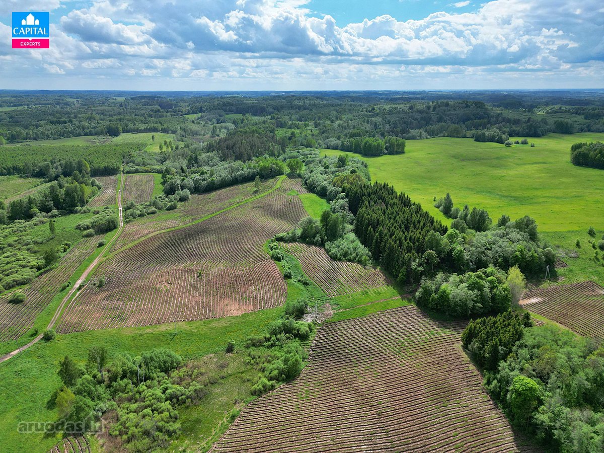 Parduodamas 8,28 Ha Žemės Ūkio Paskirties - nuotraukos Nr. 9