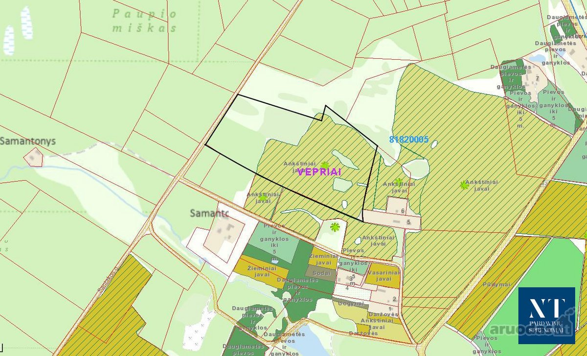 Parduodamas 9.26 ha žemės ūkio su mišku - nuotraukos Nr. 4
