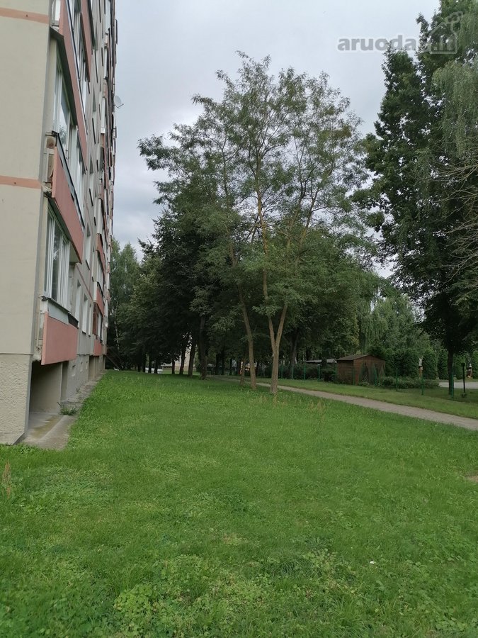 Parduodamas 2 - jų kambarių butas Alytuje, - nuotraukos Nr. 24