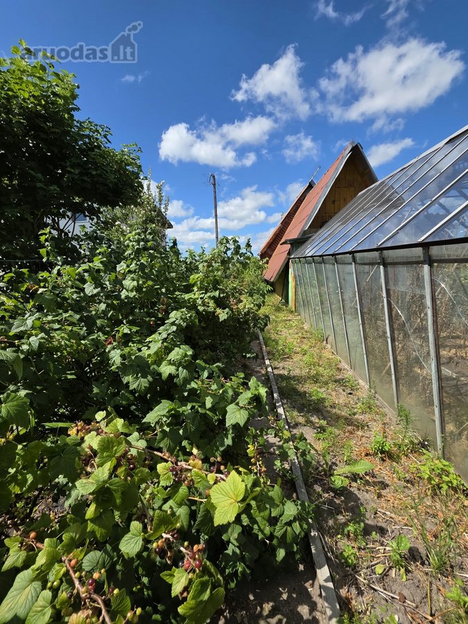 Sodo sklypas su nameliu Klaipėdos r., SB - nuotraukos Nr. 16
