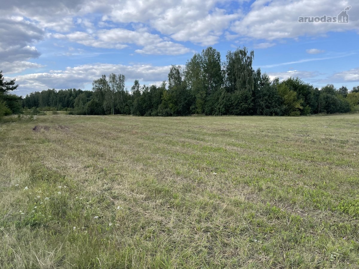 Parduodamas didelės apimties sklypas pramonės - nuotraukos Nr. 15