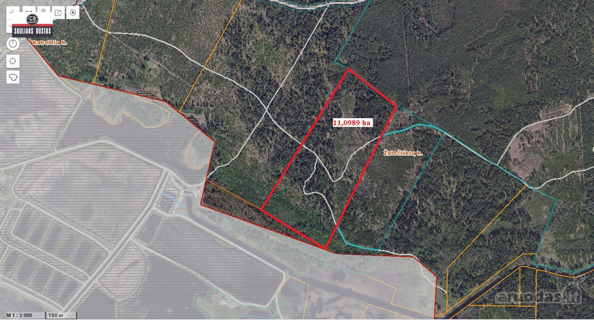 Parduodamas pigiai 11,0989 ha žemės sklypas - nuotraukos Nr. 2