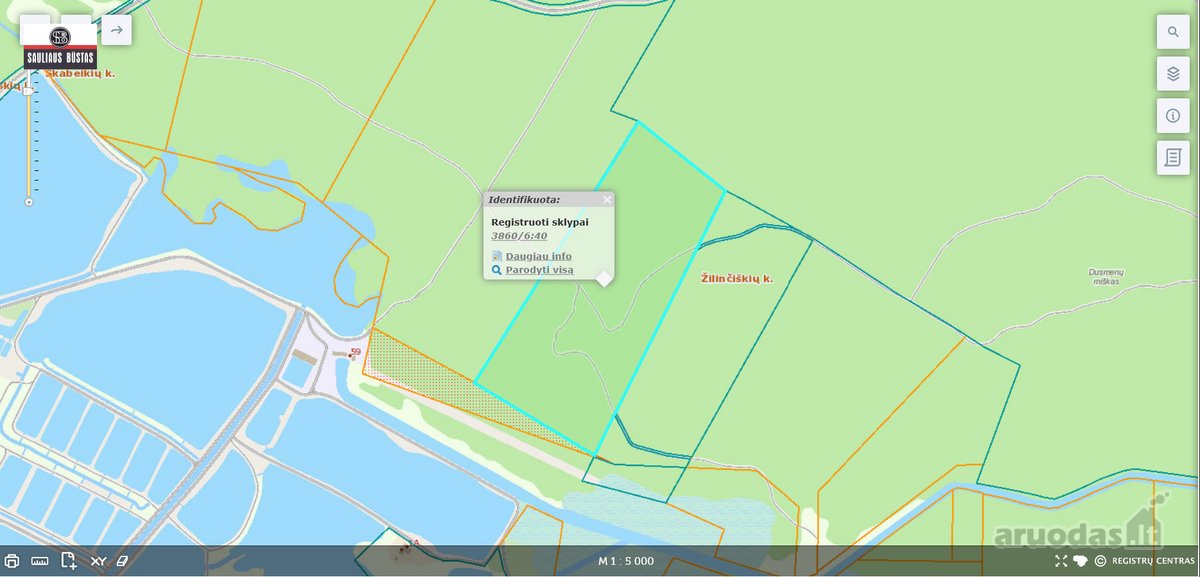 Parduodamas pigiai 11,0989 ha žemės sklypas - nuotraukos Nr. 4