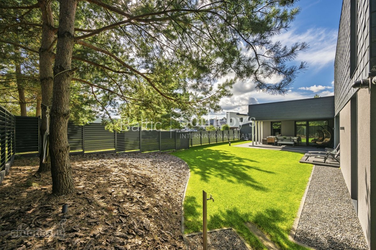 Architektūra, šviesa ir pušų ramybė - nuotraukos Nr. 43