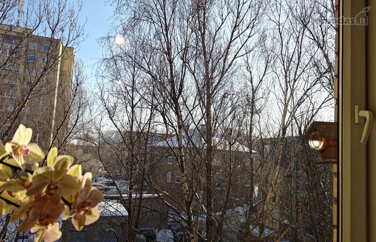 Mėgstate: - nuotraukos Nr. 28