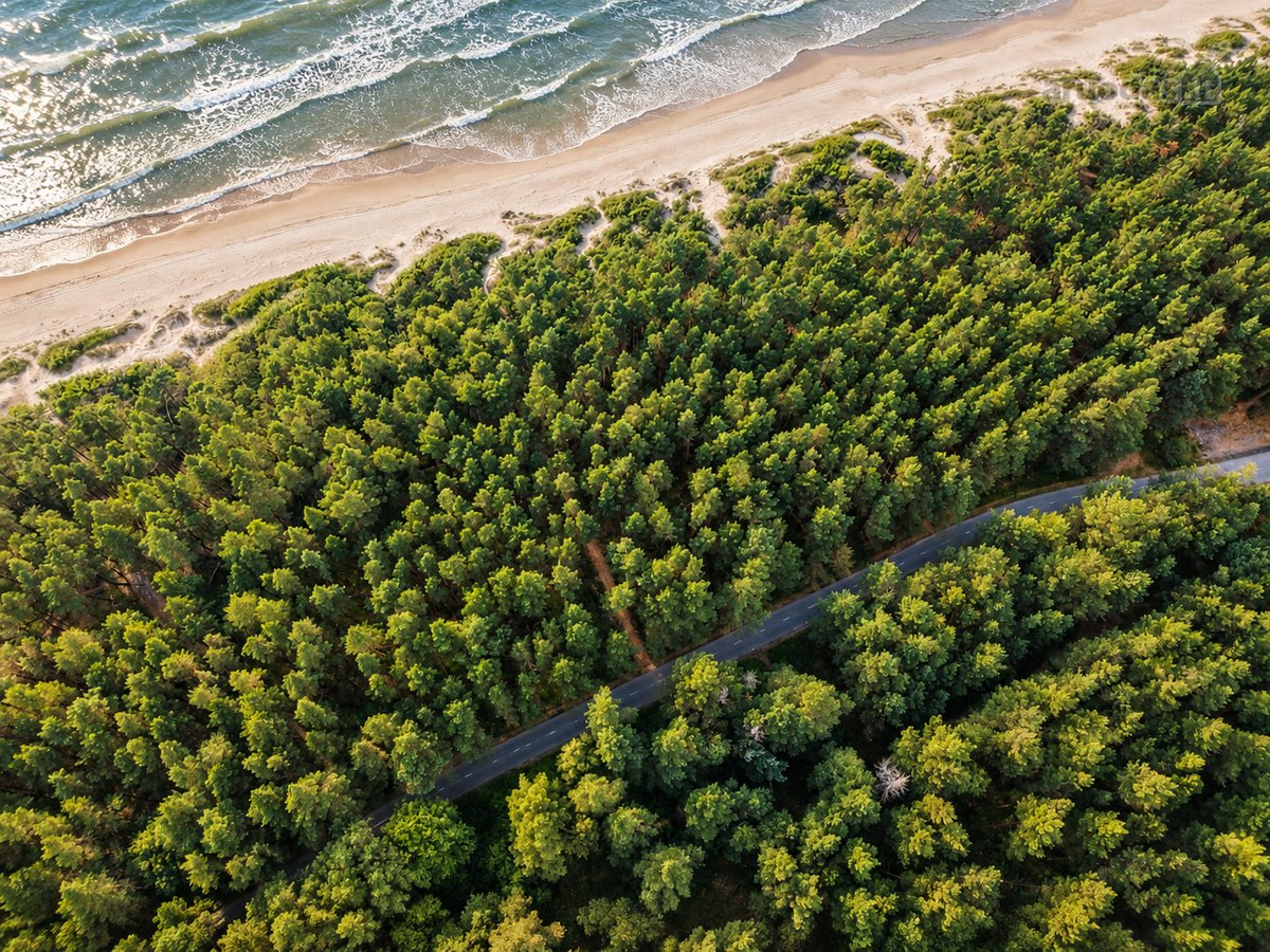 Parduodami Namų Valdos Sklypai Mončiškėse – - nuotraukos Nr. 5