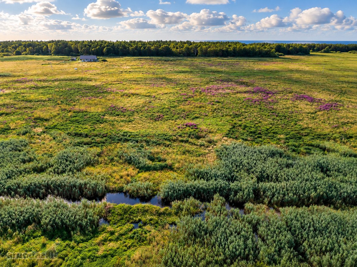 Parduodami Namų Valdos Sklypai Mončiškėse – - nuotraukos Nr. 13