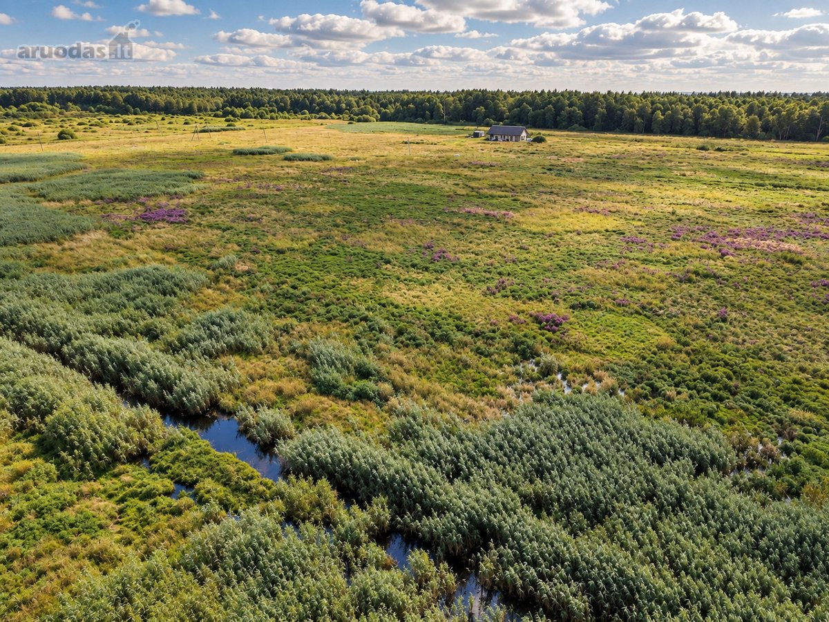 Parduodami Namų Valdos Sklypai Mončiškėse – - nuotraukos Nr. 14