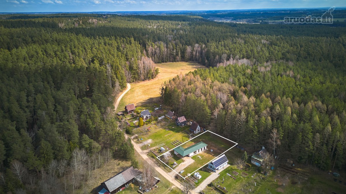 Miško Apsupty, Šalia Prienų Miesto - nuotraukos Nr. 2