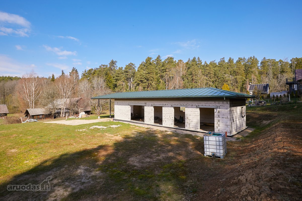 Miško Apsupty, Šalia Prienų Miesto - nuotraukos Nr. 6