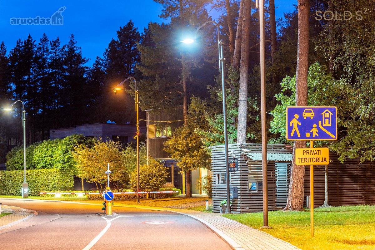 Vingiuotas pušyno keliukas veda į - nuotraukos Nr. 19