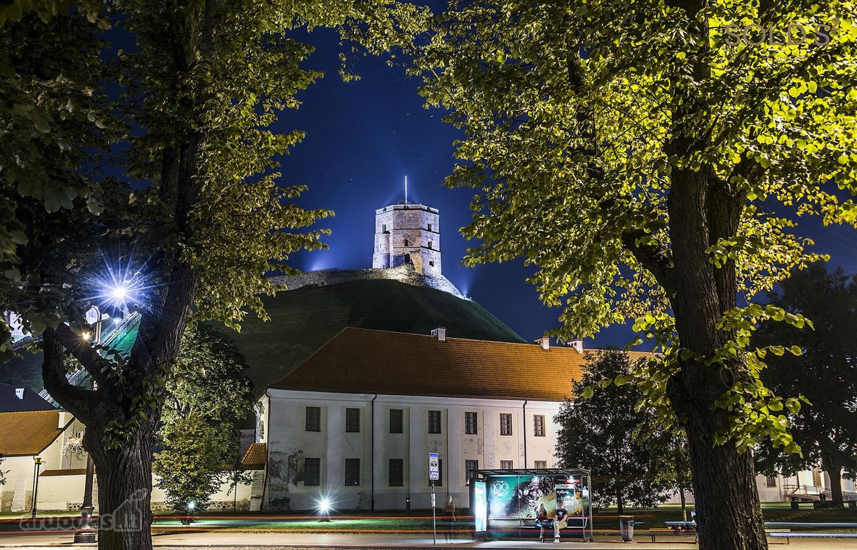 Vingiuotas pušyno keliukas veda į - nuotraukos Nr. 21