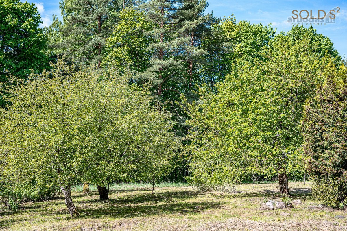 Kaina 815 000 €+PVM - nuotraukos Nr. 5