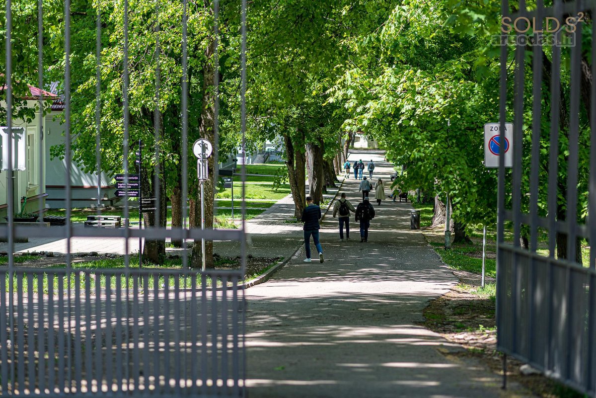 Pušų apsuptyje, vos 4 namų akligatvyje - nuotraukos Nr. 25