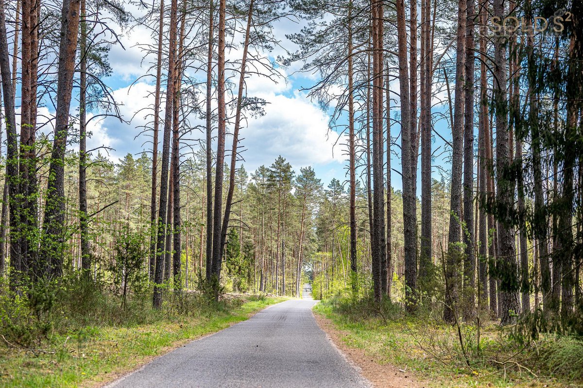 Stulbinančio privatumo ir ramybės apsuptyje - nuotraukos Nr. 6