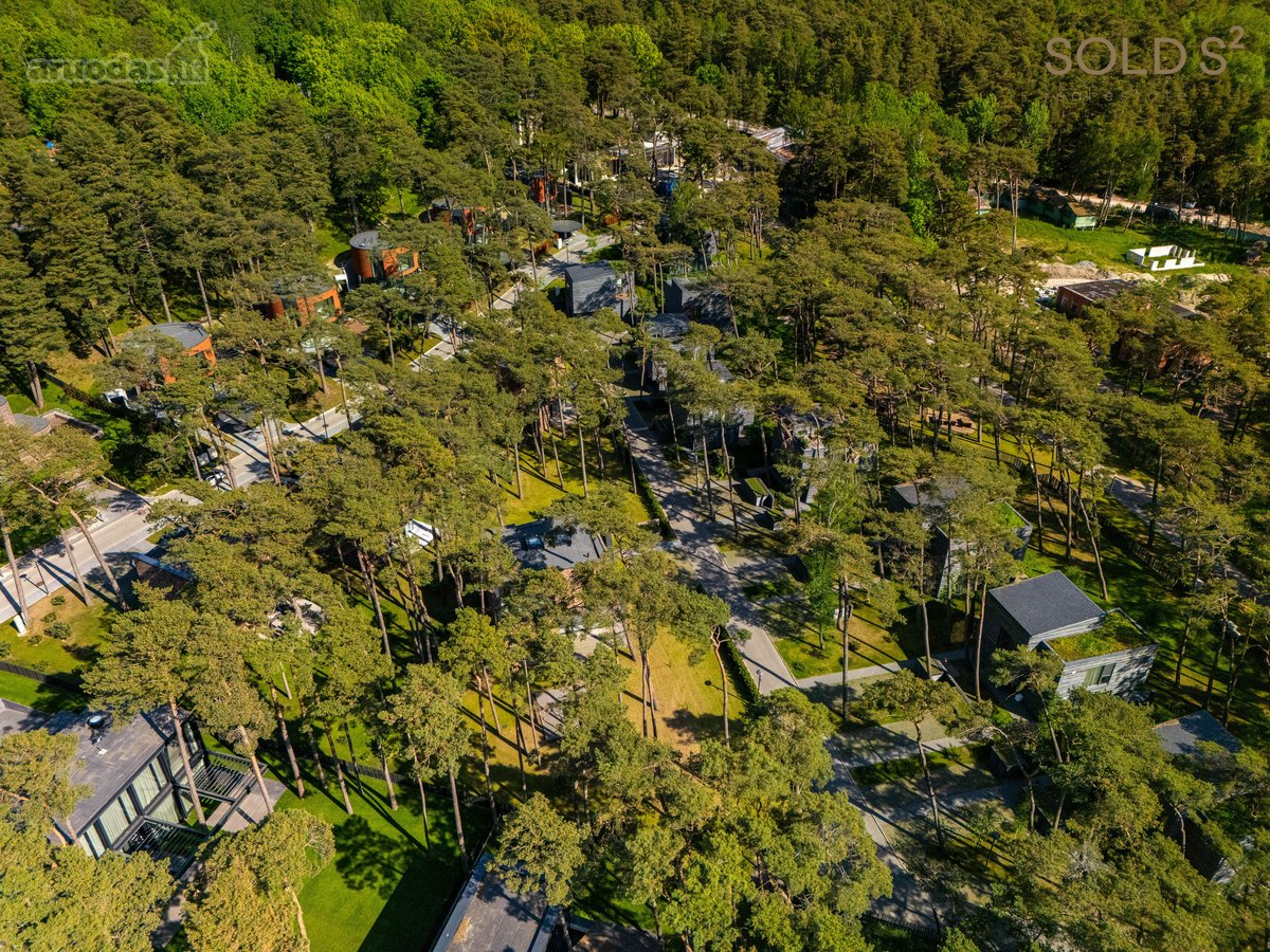 "Kopos žuvėdra“ – pušyne, arčiausiai jūros - nuotraukos Nr. 14