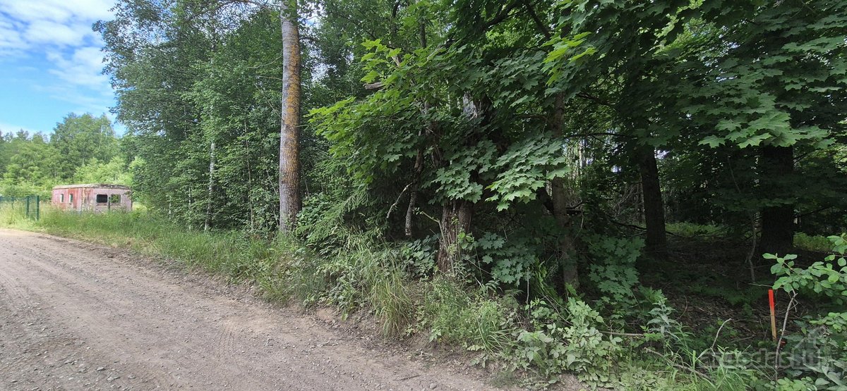Parduodamas buvęs mėgėjų sodo žemės sklypas. - nuotraukos Nr. 4