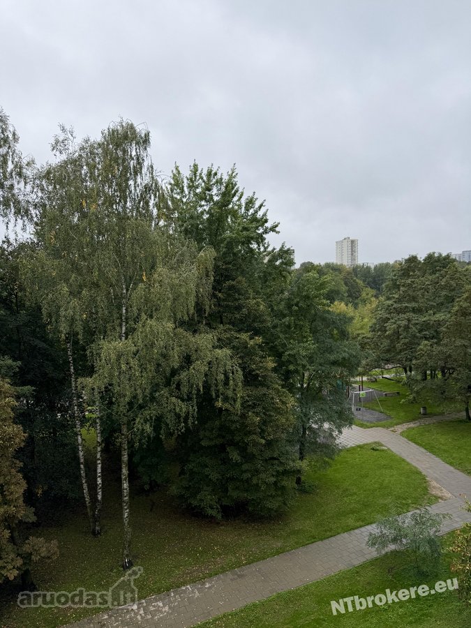 Pirmieji nuomininkai laukiami prie Neries - nuotraukos Nr. 33