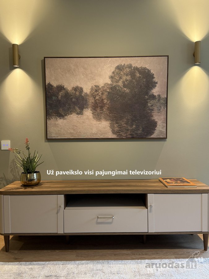 Pirmieji nuomininkai laukiami prie Neries - nuotraukos Nr. 13