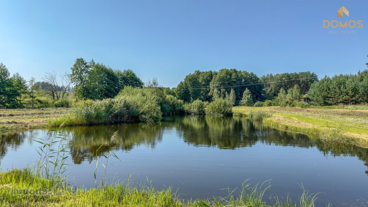 Parduodamas erdvus 7.73 ha ploto sklypas - nuotraukos Nr. 5