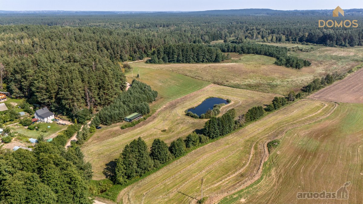Parduodamas erdvus 7.73 ha ploto sklypas - nuotraukos Nr. 9