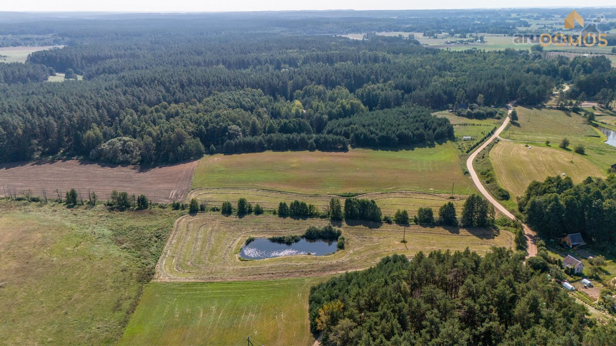 Parduodamas erdvus 7.73 ha ploto sklypas - nuotraukos Nr. 12