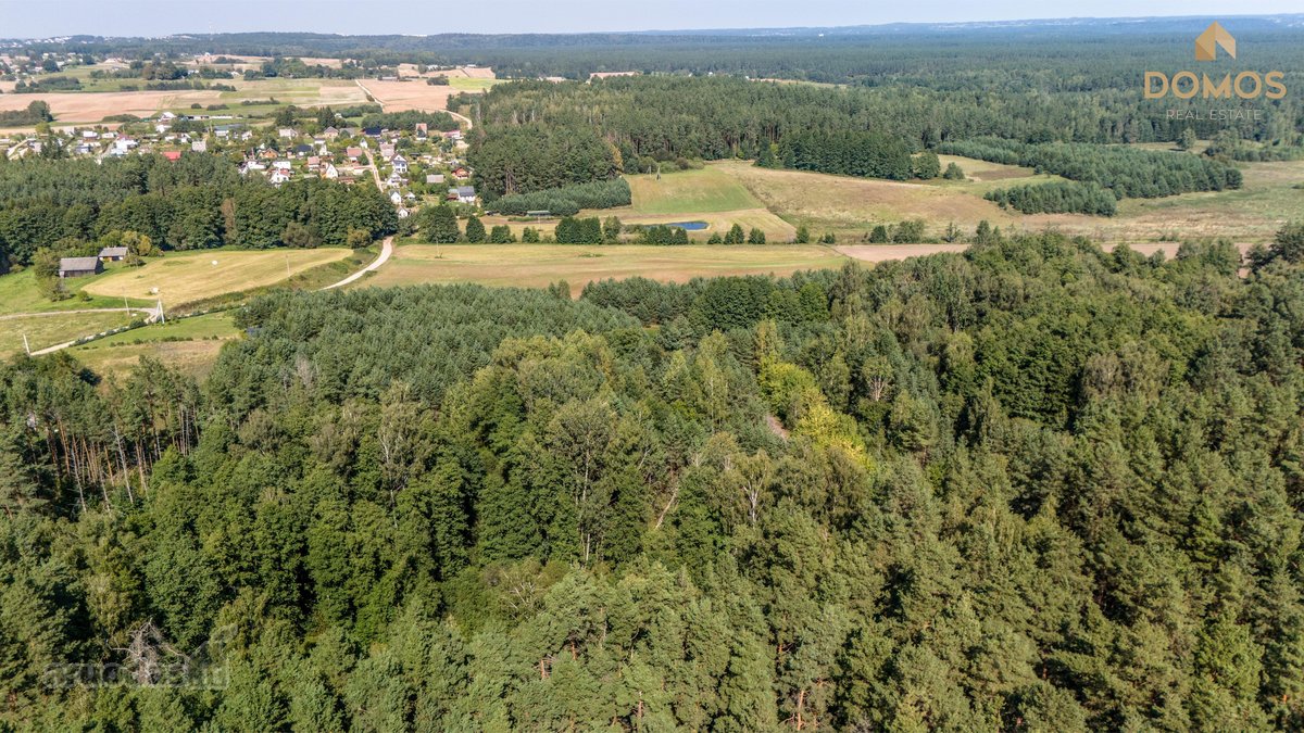 Parduodamas erdvus 7.73 ha ploto sklypas - nuotraukos Nr. 8