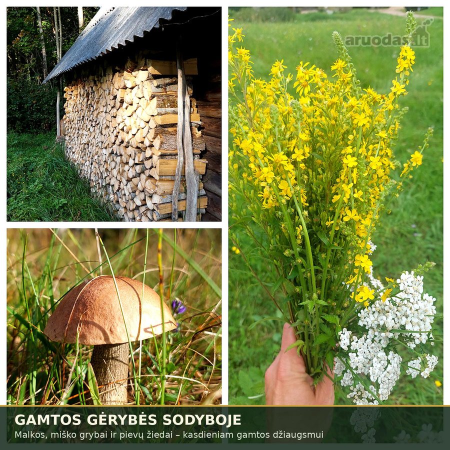 Išskirtinė Sodyba-vienamekis – Virš 7 Ha - nuotraukos Nr. 16