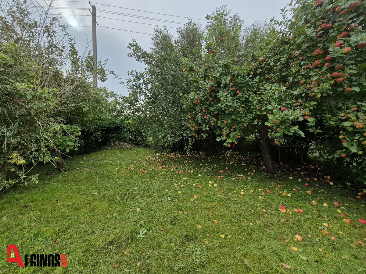 Plikių miestelyje parduodamas 3 kambarių - nuotraukos Nr. 15