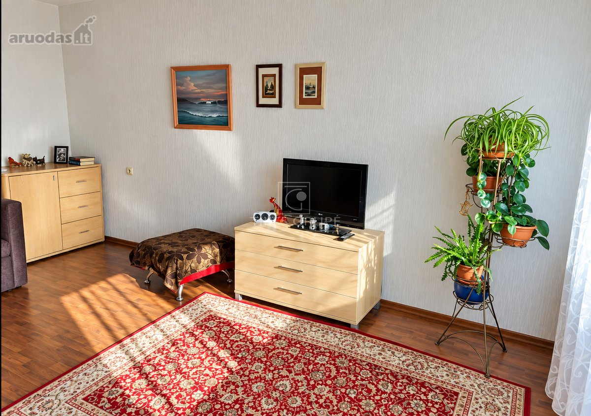 Parduodamas Erdvus 1 Kambario Butas Su Holu - nuotraukos Nr. 5
