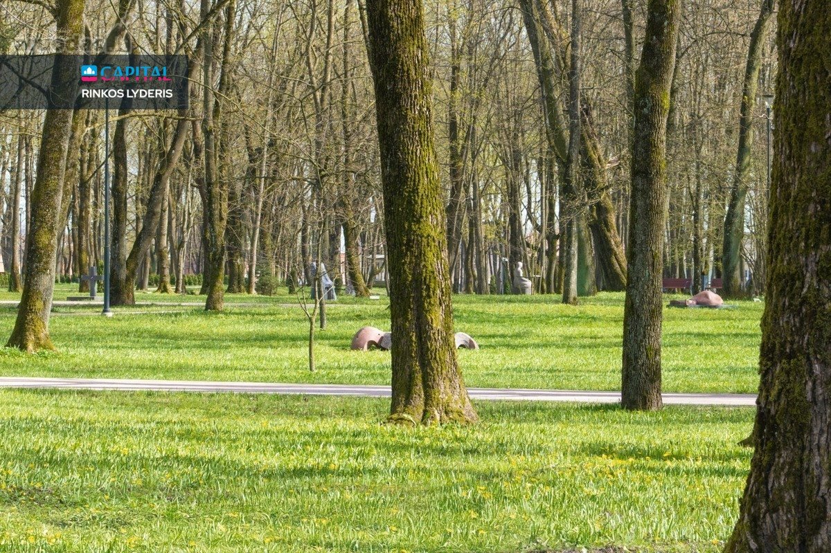 Išnuomojamas 2 Kambarių Butas Su Balkonu - nuotraukos Nr. 23