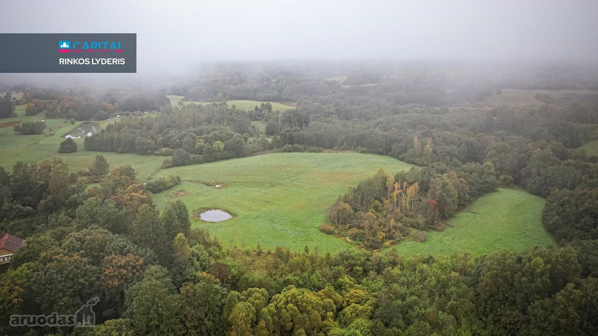 Sodyba Su Beveik 10 Ha Žemės Molėtų Rajone – - nuotraukos Nr. 14
