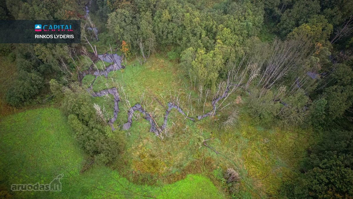 Sodyba Su Beveik 10 Ha Žemės Molėtų Rajone – - nuotraukos Nr. 17