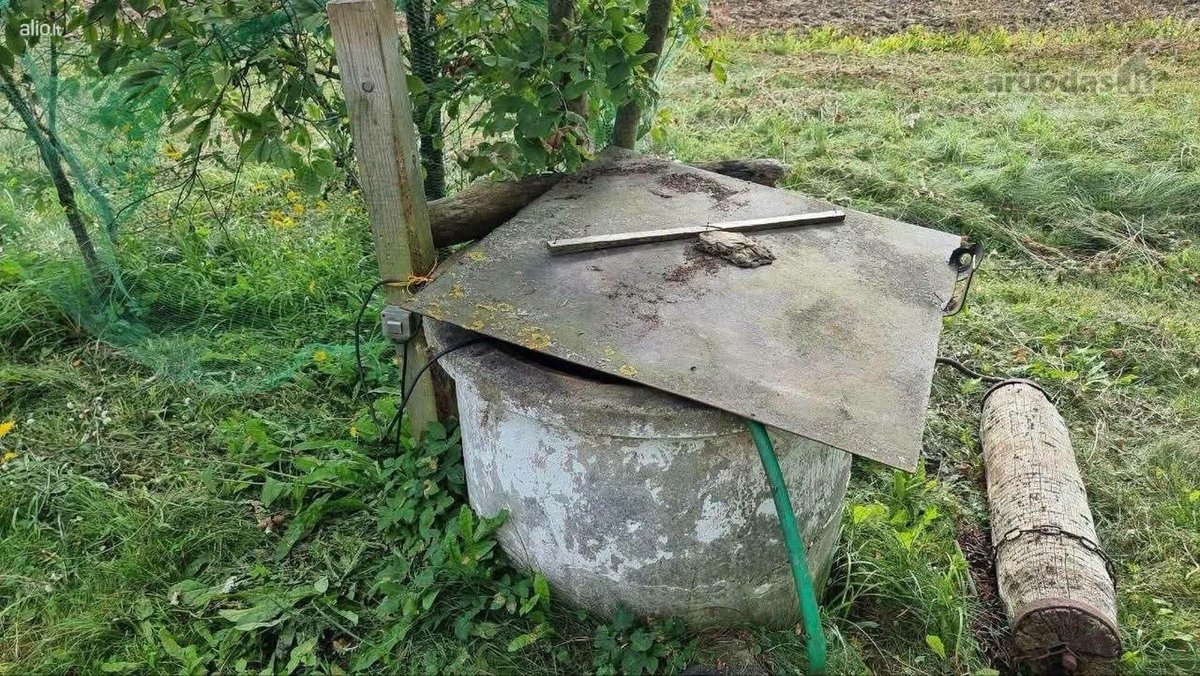 Parduodama sodyba išsimokėtinai su 29 a - nuotraukos Nr. 10