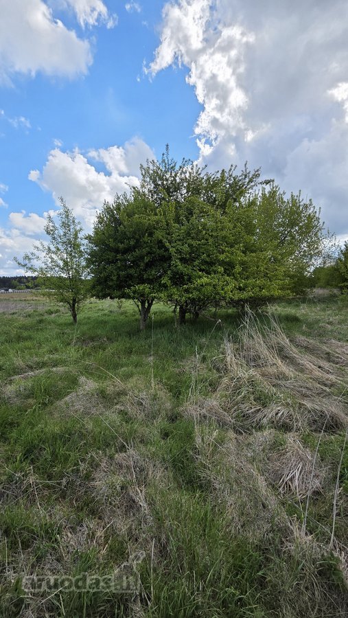 Parduodamas 71 A Namų Valdos Sklypas Prie - nuotraukos Nr. 6