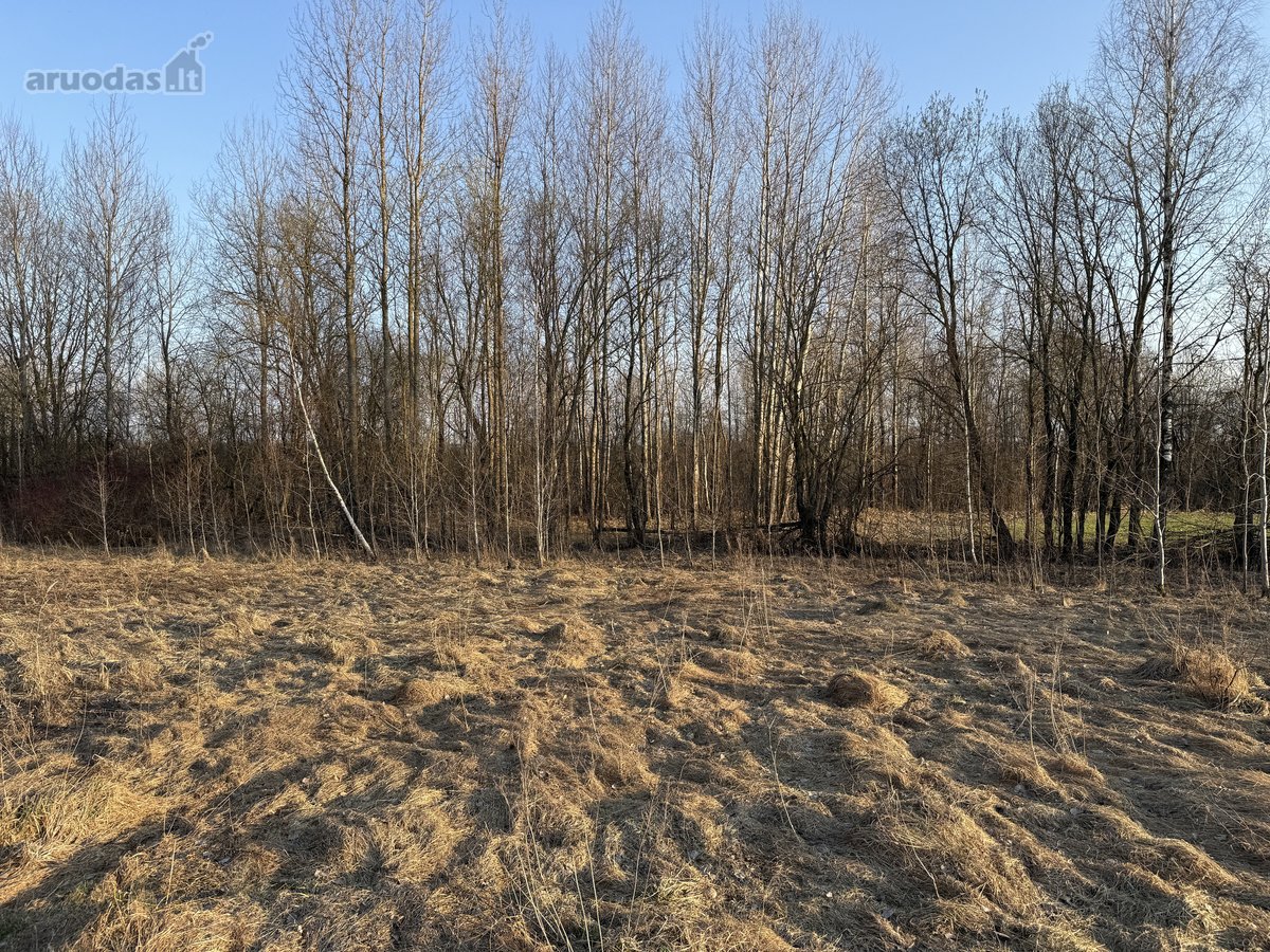 Parduodamas namų valdos sklypas Bruknių - nuotraukos Nr. 4
