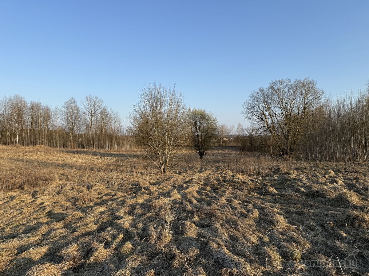 Parduodamas namų valdos sklypas Bruknių - nuotraukos Nr. 5