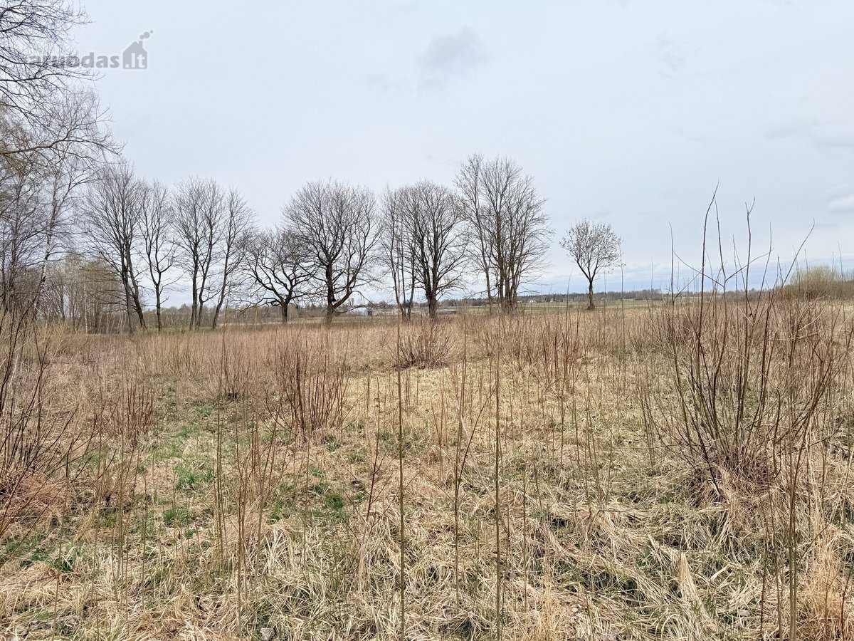 Parduodamas 140 a namų valdos sklypas - nuotraukos Nr. 7