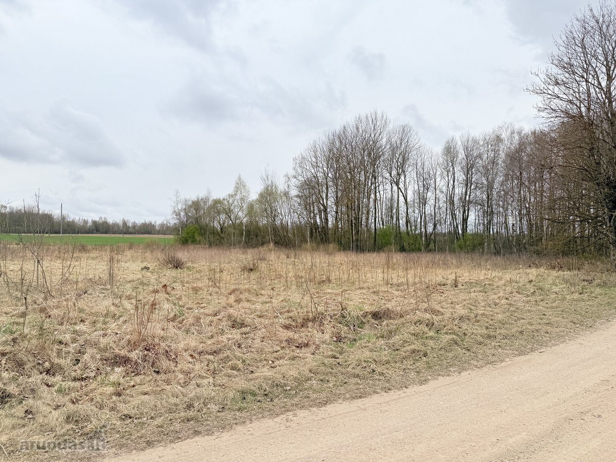 Parduodamas 140 a namų valdos sklypas - nuotraukos Nr. 2