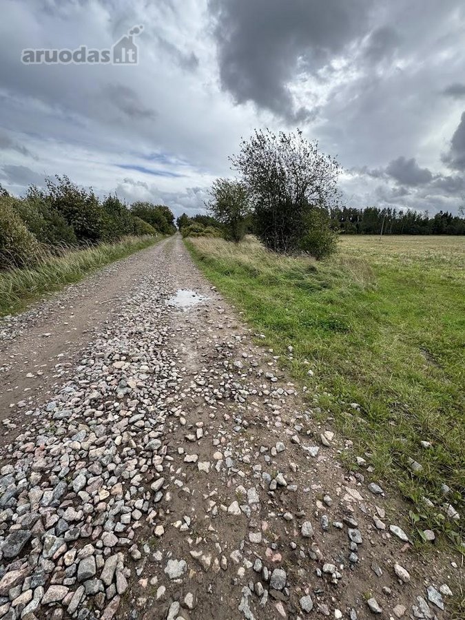 Parduodamas 4,58 ha žemės ūkio paskirties - nuotraukos Nr. 3