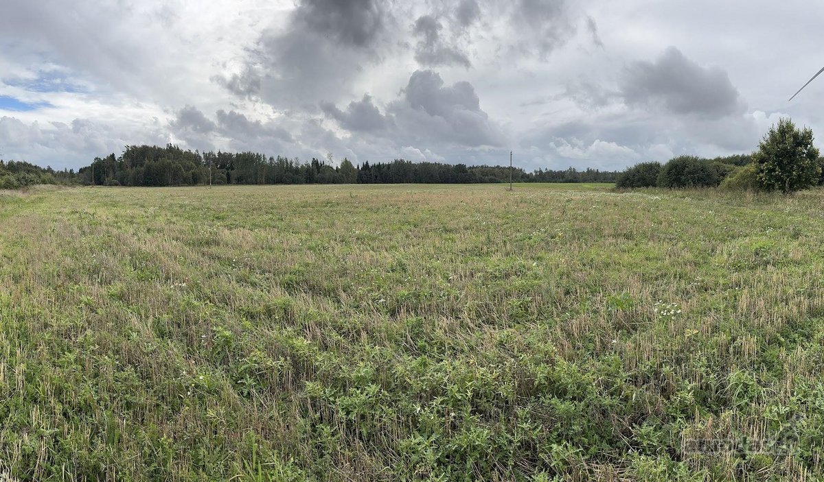 Parduodamas 4,58 ha žemės ūkio paskirties - nuotraukos Nr. 6