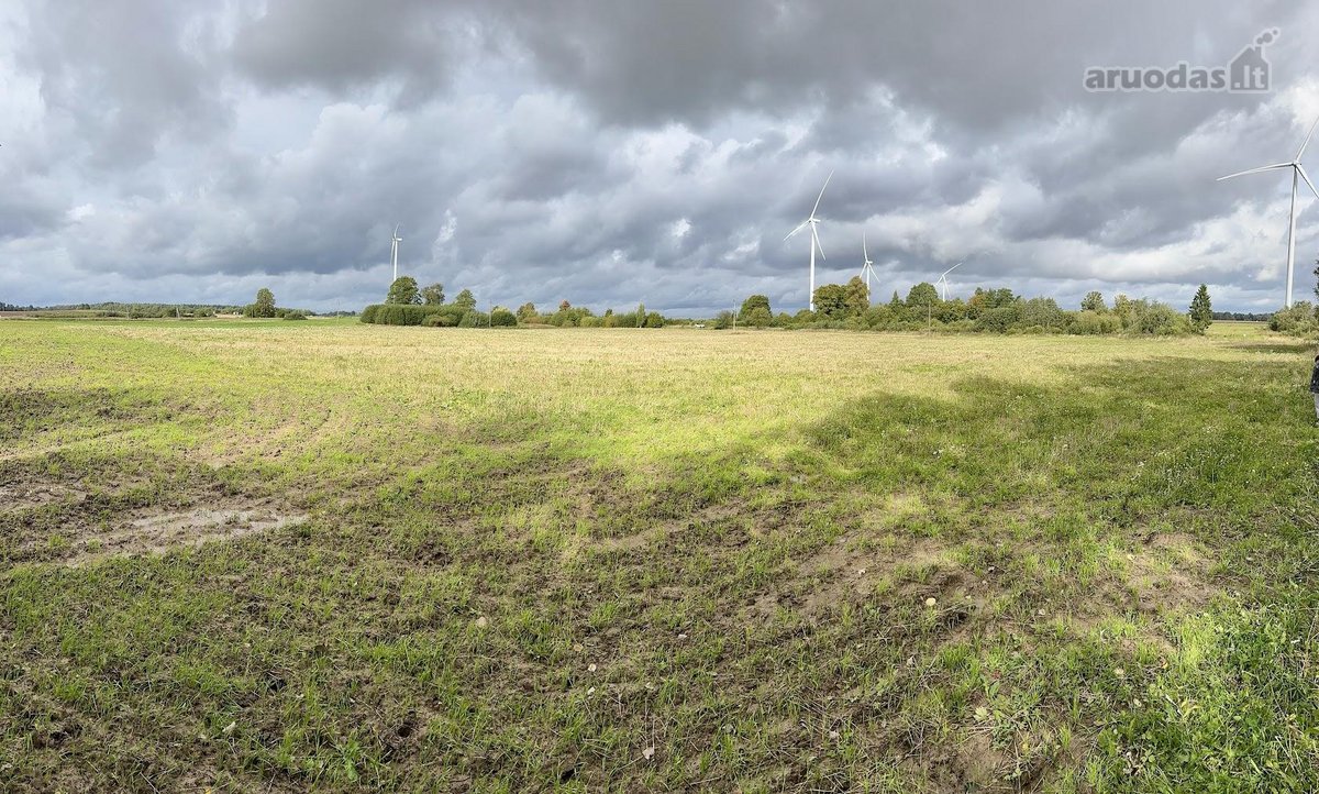 Parduodamas 4,58 ha žemės ūkio paskirties - nuotraukos Nr. 7