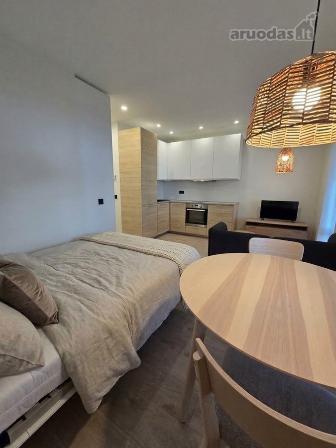 Išnuomojamas naujas, stilingai įrengtas 29,03 - nuotraukos Nr. 3