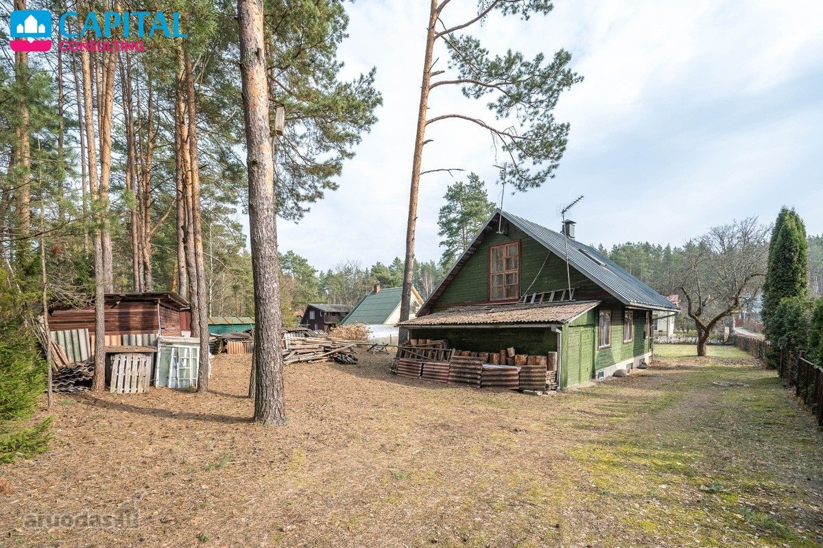 Išskirtinėje Vietoje - Miškų Apsuptyje Bei - nuotraukos Nr. 5